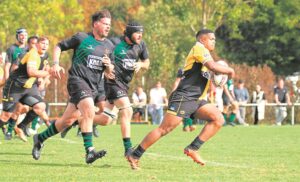 Teswin blink uit in Duitsland