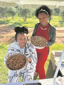 Koue of nie, Nuyvallei se fees groot sukses