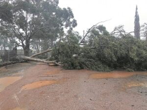 Stormweer gee nie bes; noodmaatreëls ingestel