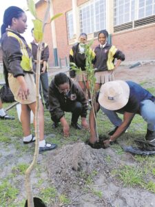 Bo Doorns gets 2-year eco support