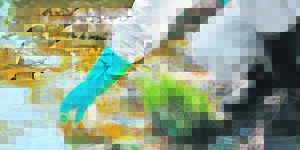 CWDM Health Services find Listeria in red viennas