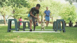 Jayden en sy hond seëvier in dokkie