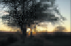 Fokus vanaand op landskapfoto’s