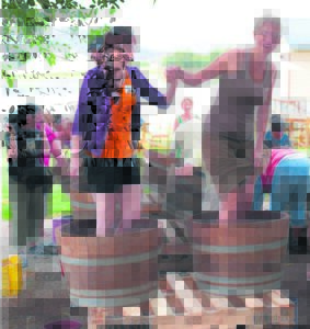 Follow the grape from vine to barrel at Hands-on Harvest fest