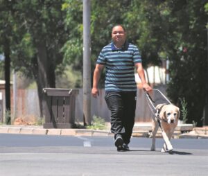 ‘Te min help gidshonde oplei’