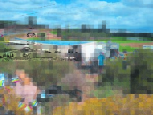 Bonnievale-ongeluk