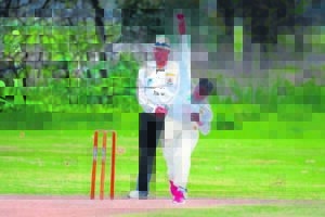 Cricket newbie has arrived!