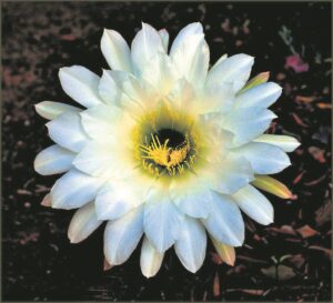 Fotografieklub byeen