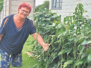 Ou resep vir jong boontjies