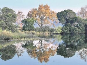 Watervlakke wys water moet steeds bespaar word