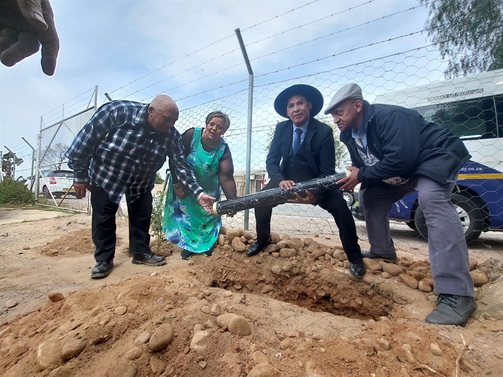 Bome geplant vir Afrikaans