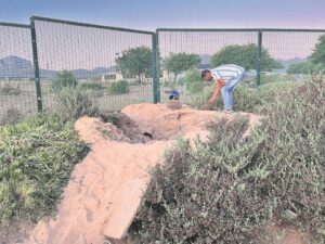 Seun versmoor in sandgat