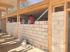 Hemp can change the building game
