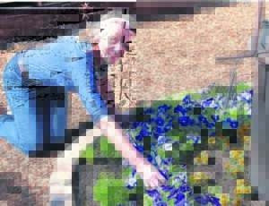 Tyd is nòu vir tuinmaak