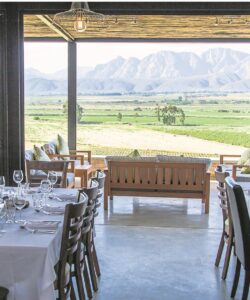 ’n Avontuur vir Nuy Wynkelder