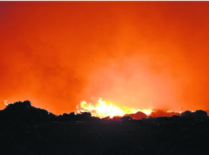 Brand by ‘skiep’ word ondersoek