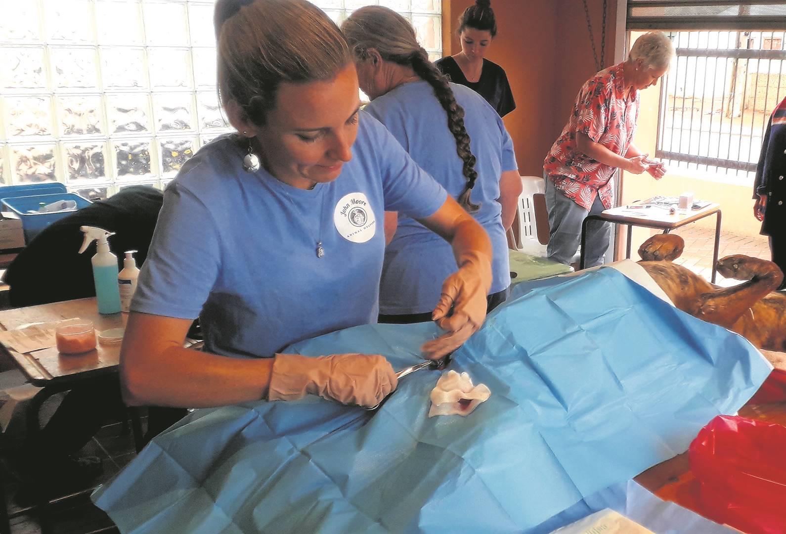 67 sterilisations for Mandela Day