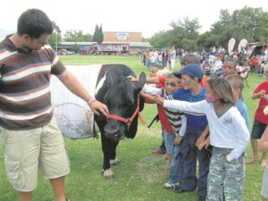 Beesloop beloof pret en plesier