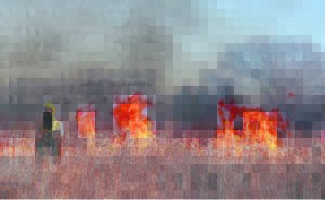 Summer fires cost R10 m.