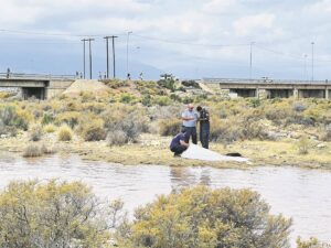 7-jarige verdrink in die Hexrivier