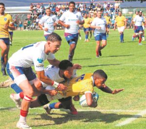 Hammies stap van die veld af