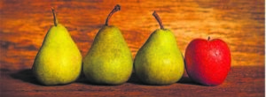 Apple, pear exports looking good