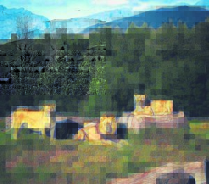 Raad sê Fairy Glen-leeus was nie wettig