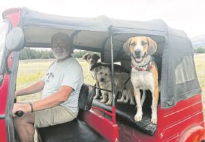 Hondeliefhebber tuk-tuk deur Afrika