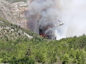 Wolseley bergbrand woed
