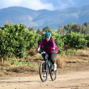 Dis weer tyd vir wyn en olywe op jaarlikse Nuyvallei-fees