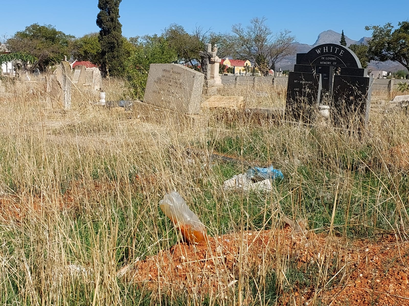 Lang gras by begraafplaas in Worcester.