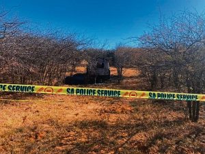 DA sê ja vir saamsit van komitees oor landbou en polisie