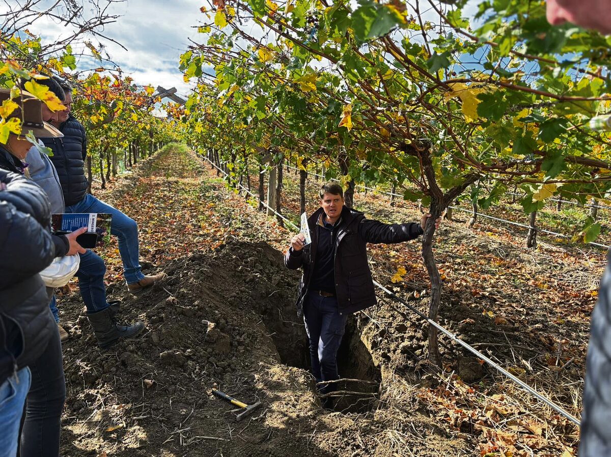 Francois Rossouw, Wes-Kaapse jongboer