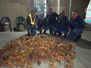 Worcester-polisie maak perlemoenvonds by padblokkade