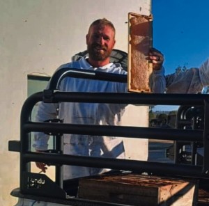 Gesteelde bykorwe nou ‘n bitter verlies vir byeboer