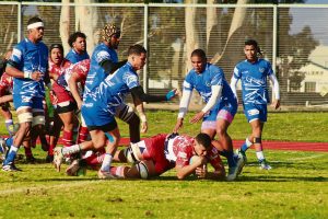 Young Hamiltons pak die voorlopers, Robertson Town hierdie Saterdag