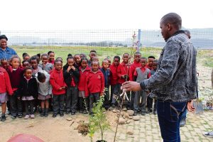 Youngsters plant trees for the future during Arbor Day