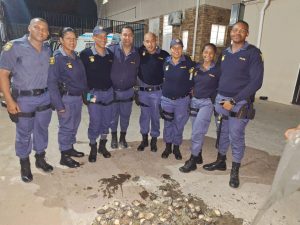 Police makes abalone, periwinkle catch in Worcester