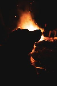 Vuurwerke op Guy Fawkes: oortreders kan stywe boete te wagte wees