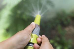 Munisipaliteit sê waterbeperkings ‘voorkomend’ ingestel ná droë winter