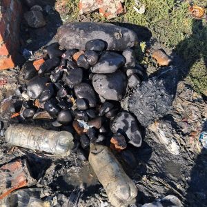 Klippe skep probleme vir BVM in Hexpark se rioolstelsel