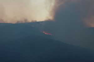 Firefighters still battling Langeberg blaze