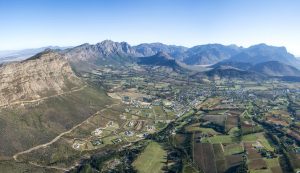 This South African river has a bacteria count off the charts: a natural filter is cleaning it for watering food gardens