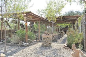 Richtersveld-oorgrenspark spog met unieke kwekery, botaniese tuin