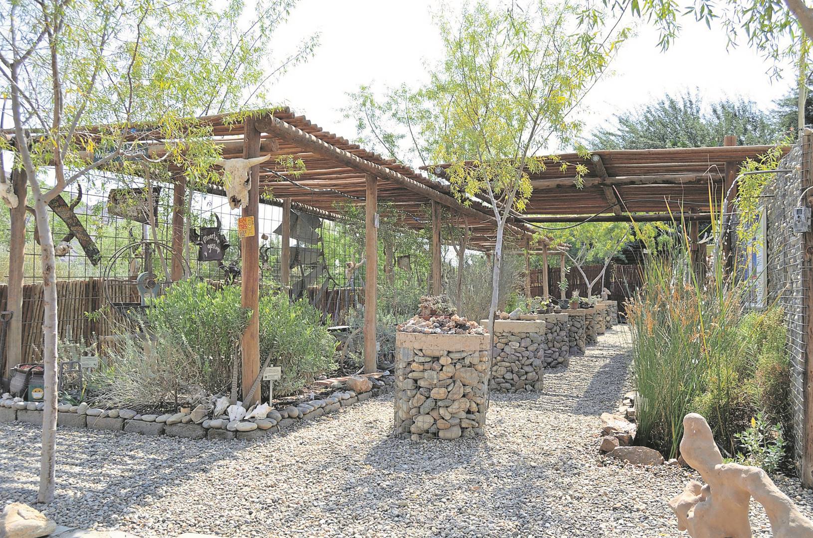 Richtersveld-oorgrenspark spog met unieke kwekery, botaniese tuin
