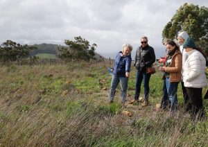 Zevenwacht Wine Estate earns WWF Conservation Champion status