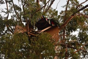 Huis, paleis, boomhuis… plakkers maak hulself tuis in bloekom