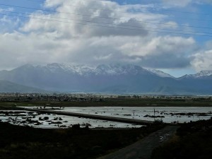 Western Cape braces for cold front: Strong winds and high waves expected