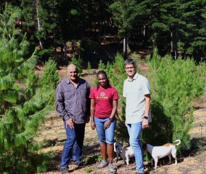 Delheim Estate opens pine forests to Stellenbosch University forestry students