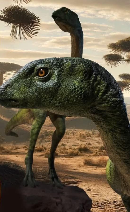 Dinosaur centre at Golden Gate surpasses R1 million in revenue